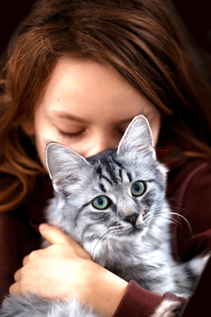 Mensch hält liebevoll eine getigerte Katze im Arm